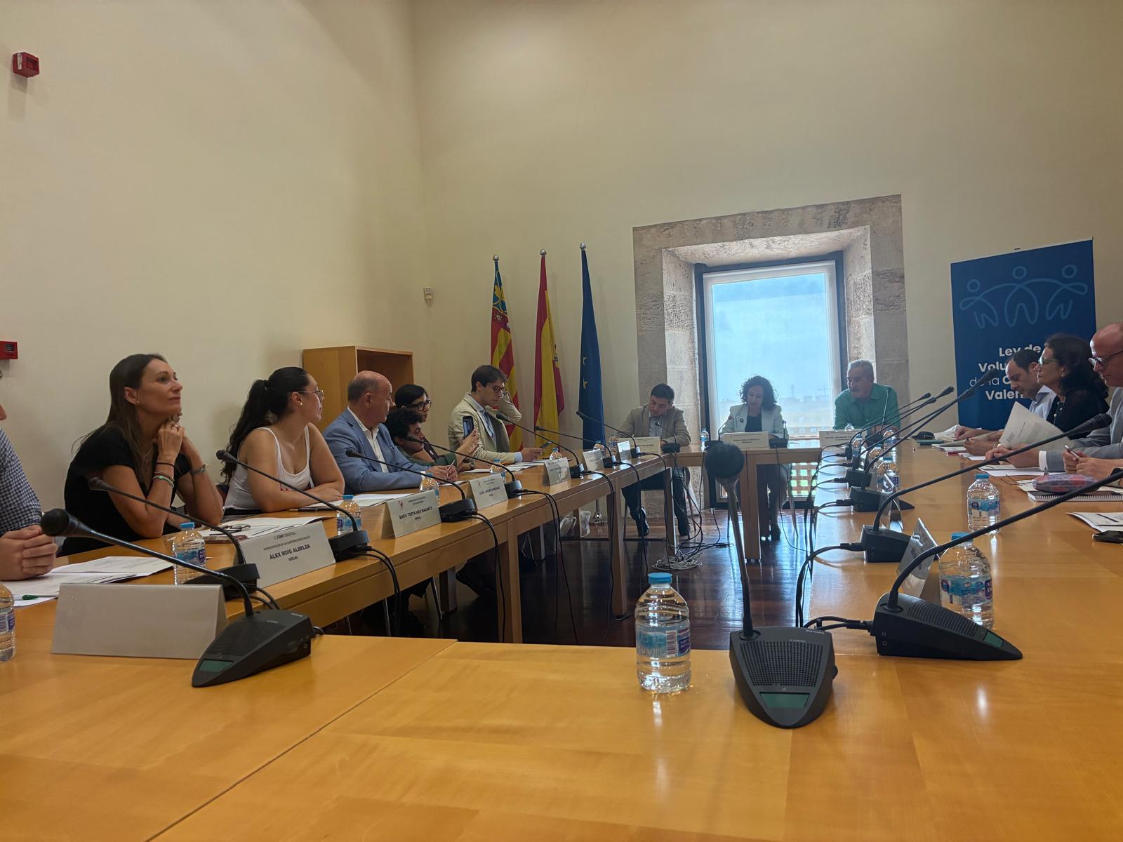 La Plataforma de Voluntariat celebra la constitución del Consell Valencià del Voluntariat, un órgano clave