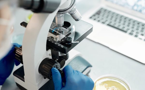 València y la Real Academia de Medicina amplían su colaboración en materia de salud y divulgación científica