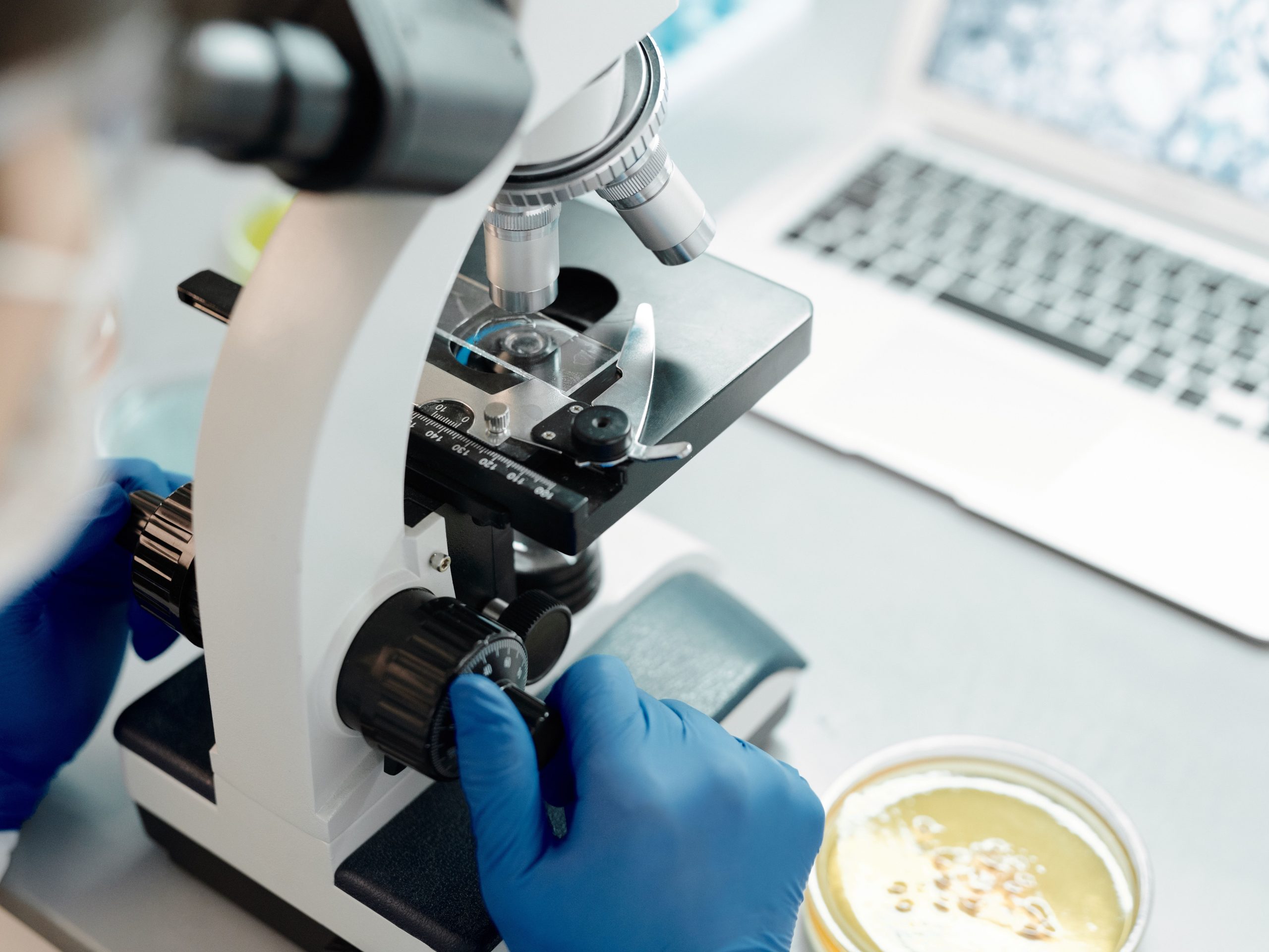 València y la Real Academia de Medicina amplían su colaboración en materia de salud y divulgación científica