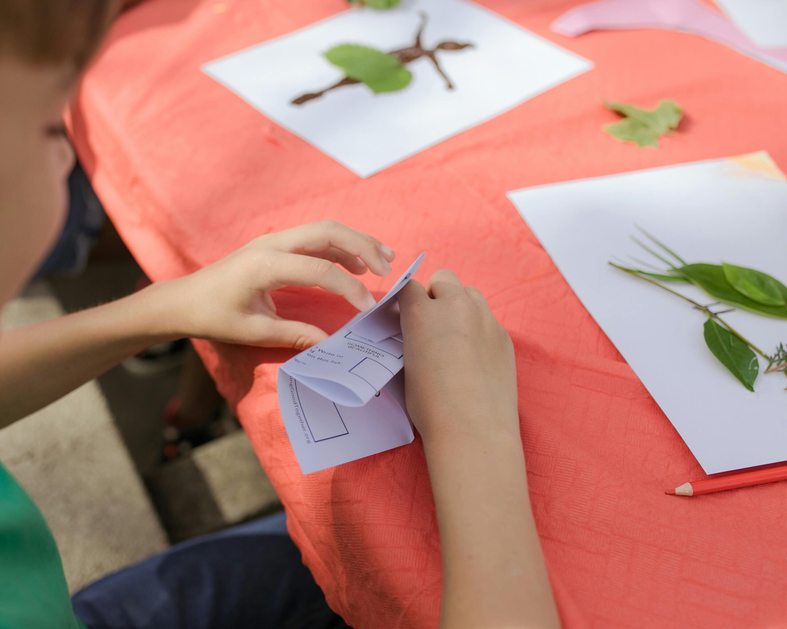Plazo de presentación de solicitudes a las ayudas a Comedor escolar y Escuela de verano