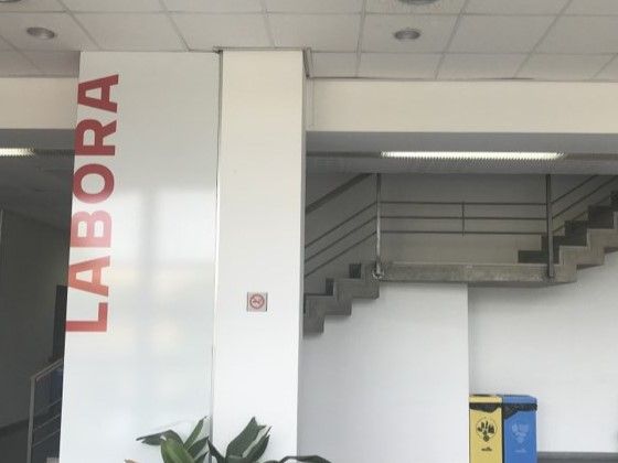 La ciudad de Castellón contará con subvenciones de LABORA para seguir fomentando programas de empleo local