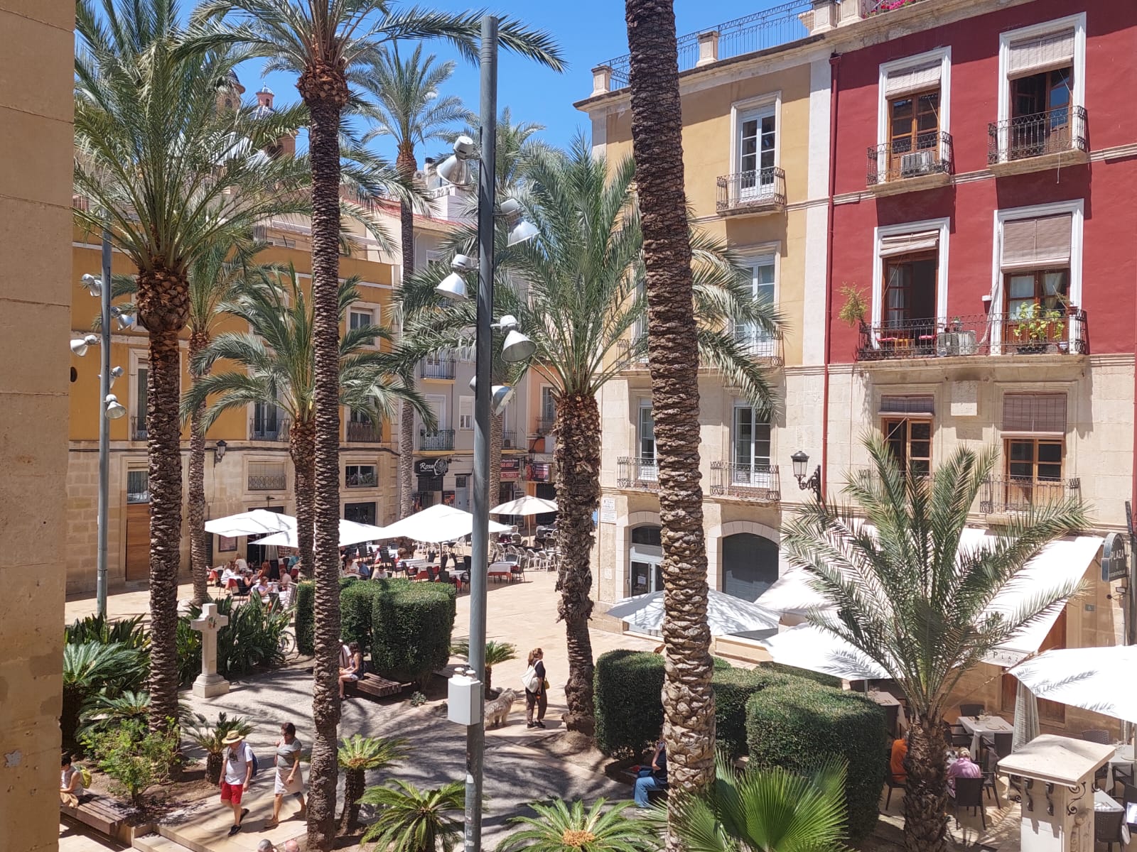 Bolsa de vivienda pública con solicitudes renovables cada dos años en Alicante
